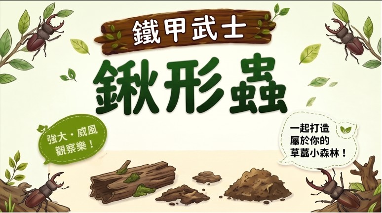 9/20(日)1330-1430鐵甲武士-鍬形蟲成蟲飼育