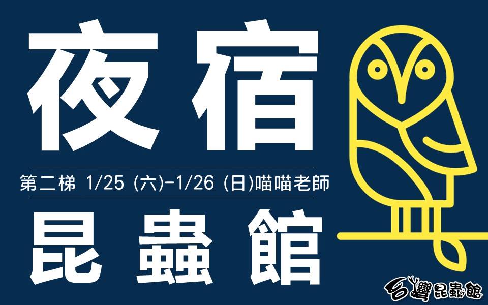 1/25(六)-1/26(日)夜行動物驚魂YA！ 夜宿台灣昆蟲館