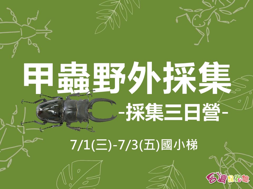 7/1(三)-7/3(五)甲蟲野外採集-採集三日營(國小)