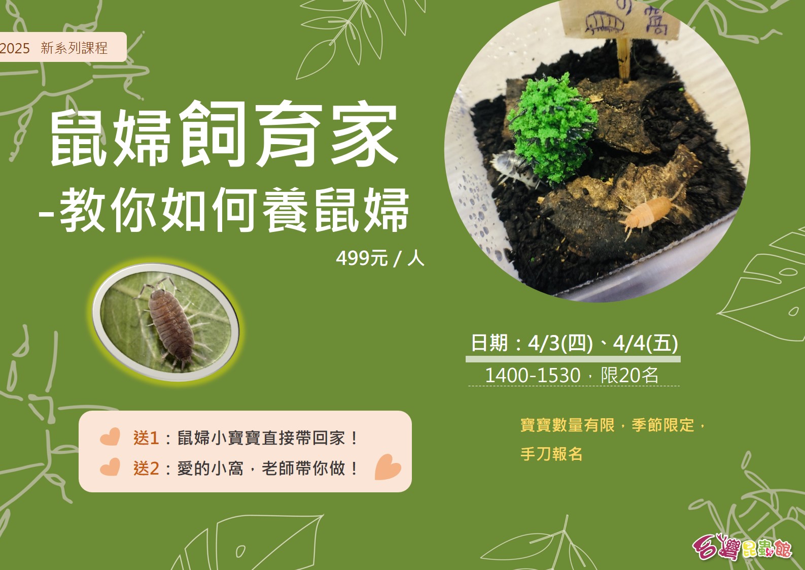 4/4 (五) 1400-1530 鼠婦飼育家 -教你如何養鼠婦