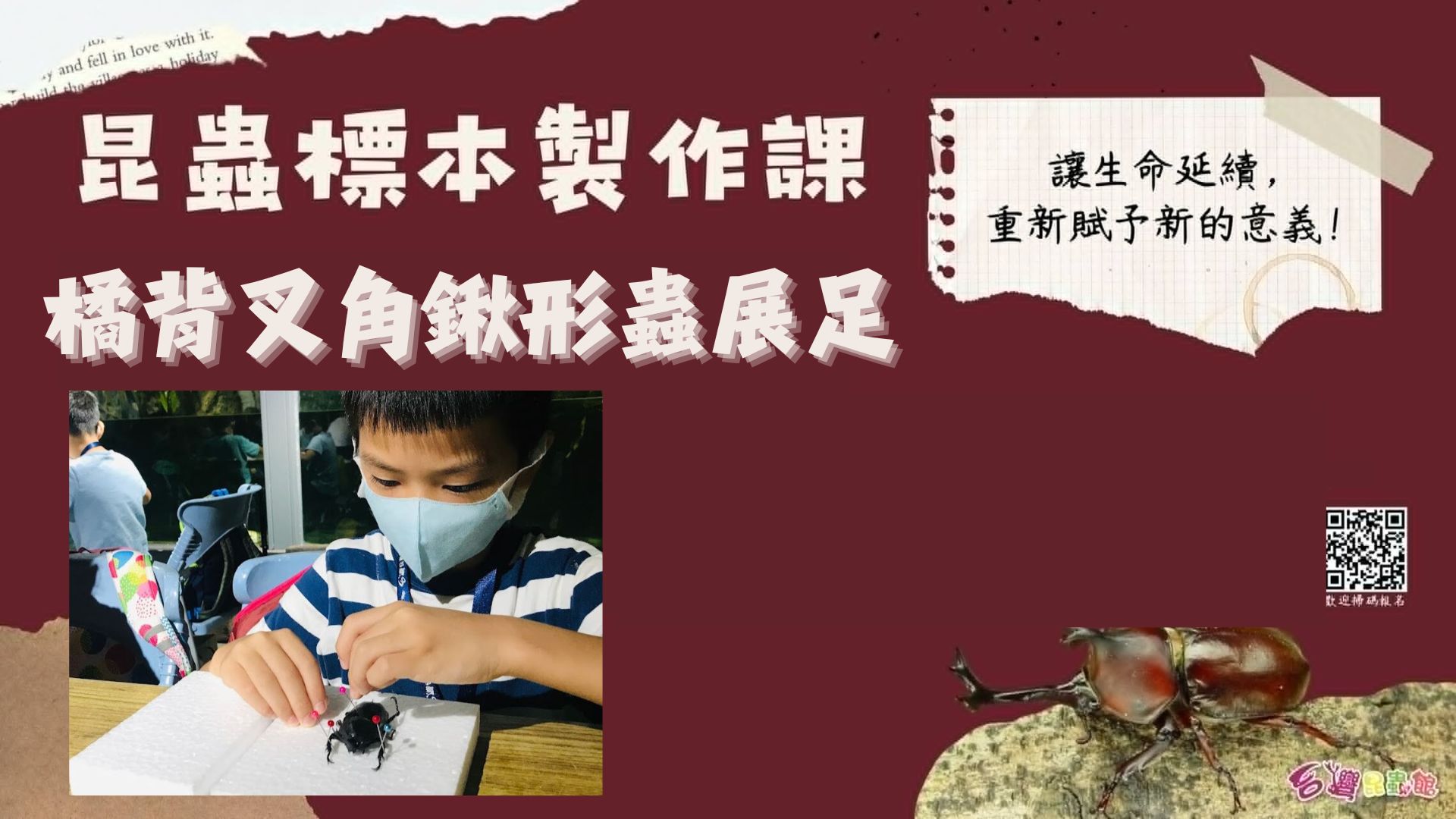 4/06(一) 11:00-12:00『橘背叉角』標本製作課