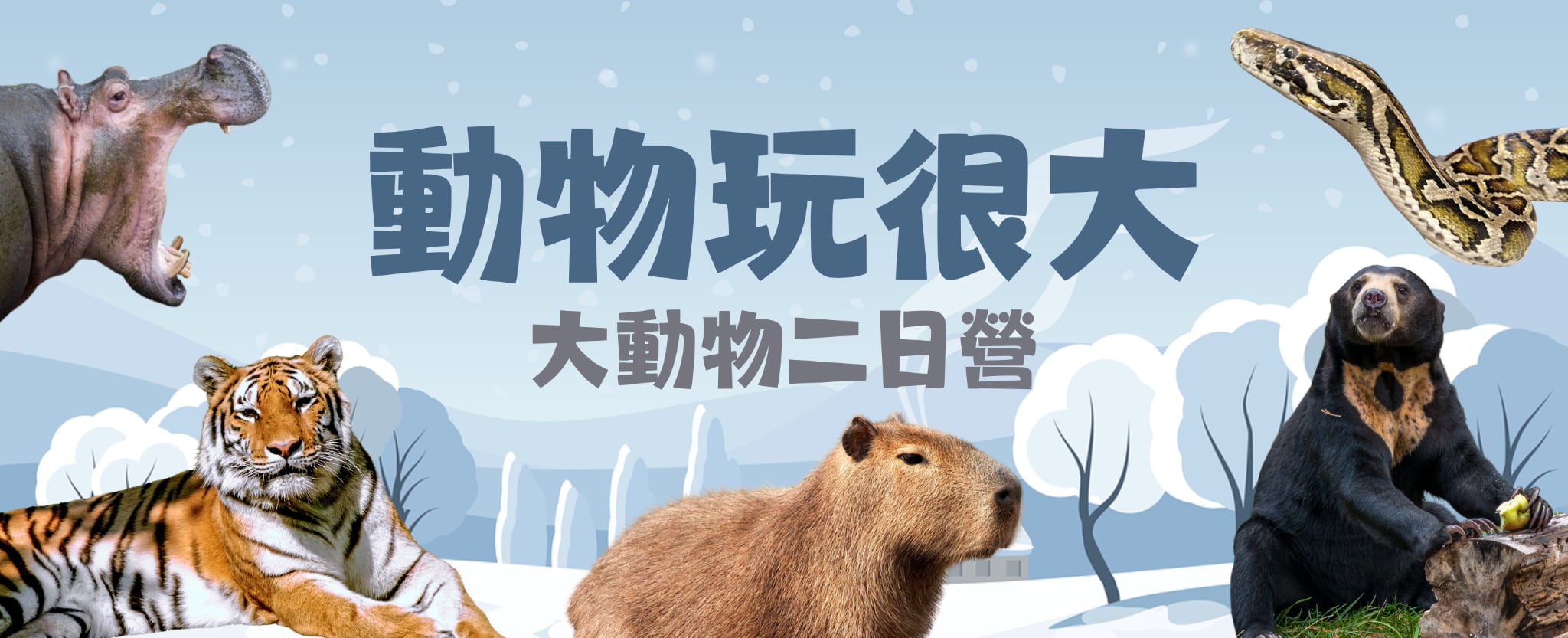 新竹大動物營202512