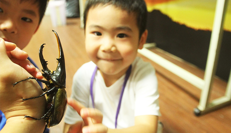 各式昆蟲動物夏令營，讓孩子與動物近距離接觸！還可以跟著超專業講師到野外探索昆蟲生態！快把握機會報名！