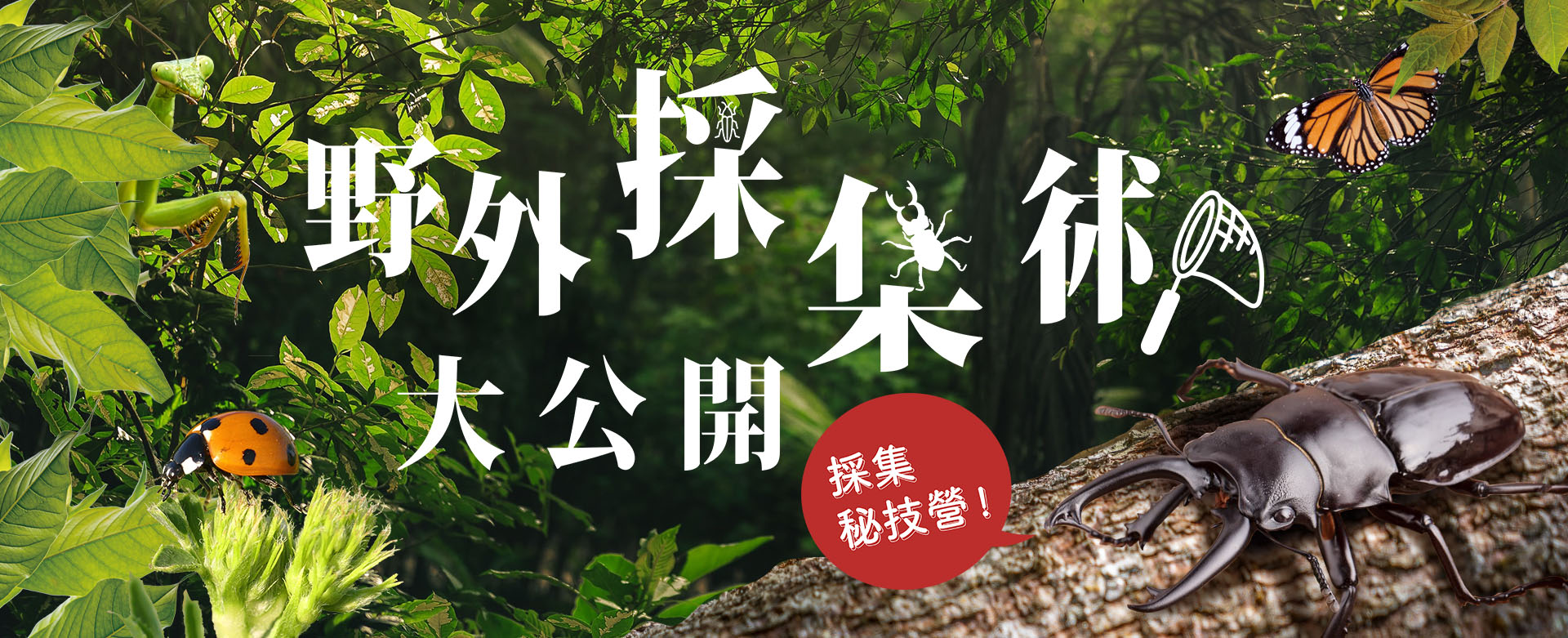 採集營