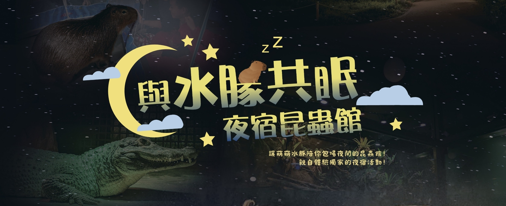 全台獨家 
《與水豚共眠 夜宿昆蟲館》
與療癒系萌主『水豚君』恣意地漫步在昆蟲館展區～
欣賞鱷魚『阿扣』不同於白天活躍在水中的霸氣泳姿 ～
包場夜間昆蟲館！
獨享與水豚餵食及觸摸的愜意時光
還想知道晚上動物都在做些甚麼嗎？
趕快來親自揭開夜間昆蟲館的神秘面紗吧～
［詳情報名資訊點我］
https://reurl.cc/vk0qe1